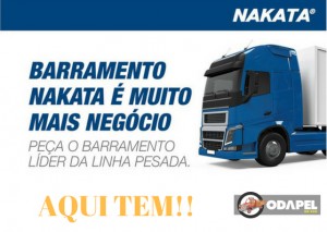 NAKATA.PUBLICADO 21.8