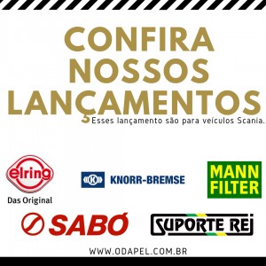 Mercado Family Reunion (1)